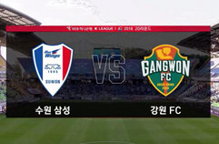 수원삼성블루윙즈 2:0 강원 FC 하이라이트