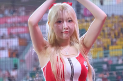나성범 등장응원 한지은 치어리더
