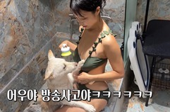 목욕 싫어하는 강아지가 의지하는 유일한 것은?
