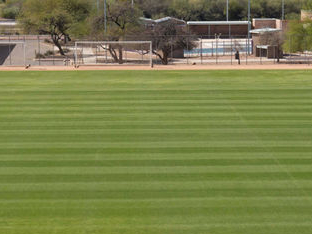 7m-이란의 월드컵 불확실성, 투손 훈련 시설 '18개월 준비' 멈춤